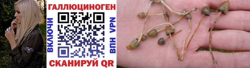 Галлюциногенные грибы Cubensis  продажа наркотиков  Муром 